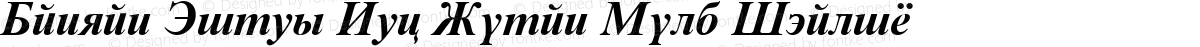 Danzan Times New Roman Bold Italic