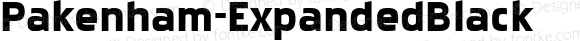 Pakenham-ExpandedBlack ☞ Version 001.000 ;com.myfonts.easy.larabie.pakenham.expanded-black.wfkit2.version.KxD