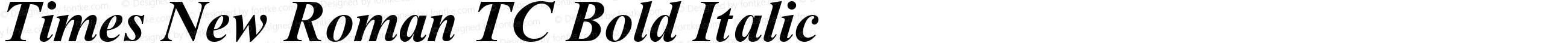 Times New Roman TC Bold Italic