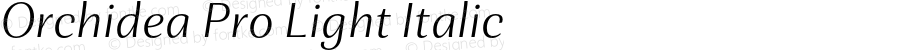 Orchidea Pro Light Italic