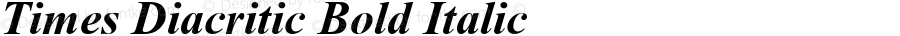 Times Diacritic Bold Italic