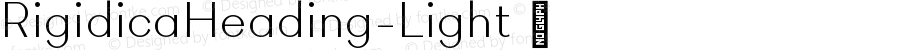 ☞Rigidica Heading Light