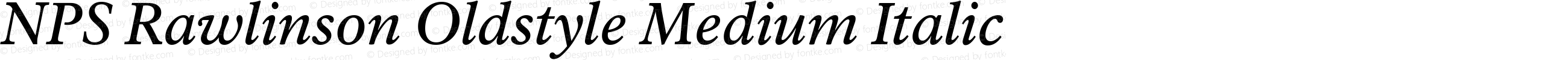 NPS Rawlinson Oldstyle Medium Italic