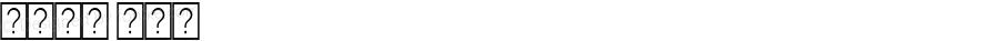 系统字体 粗斜体