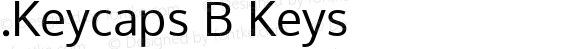 .Keycaps B Keys