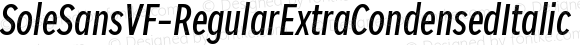 ☞Sole Sans VF Regular ExtraCondensed Italic
