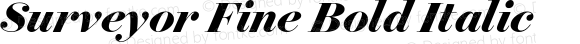 Surveyor Fine Bold Italic