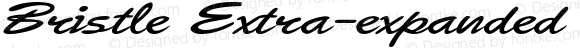 Bristle Extra-expanded Bold Italic