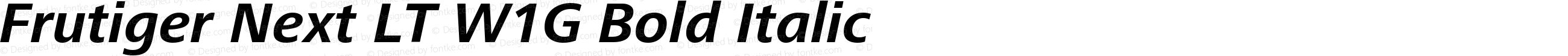 Frutiger Next LT W1G Bold Italic