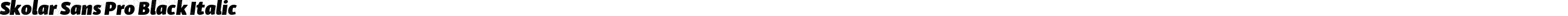 SkolarSansPro-BlackItalic
