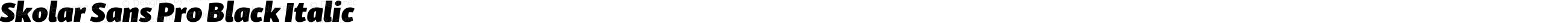 SkolarSansPro-BlackItalic