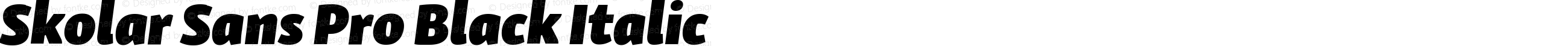 SkolarSansPro-BlackItalic