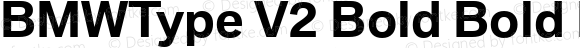 BMWType V2 Bold Bold Italic