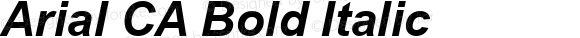 Arial CA Bold Italic MS core font:v1.00