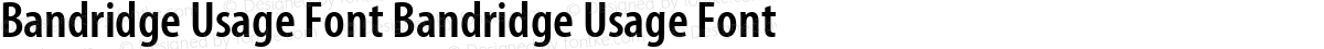 Bandridge Usage Font Bandridge Usage Font