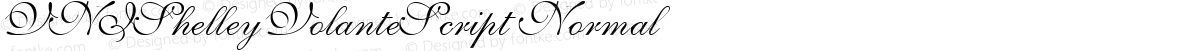 VNIShelleyVolanteScript Normal