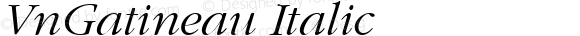 VnGatineau Italic