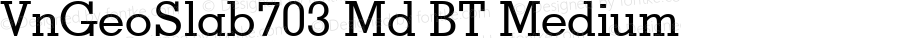 VnGeoSlab703 Md BT Medium mfgpctt-v1.52 Monday, January 25, 1993 12:46:03 pm (EST)