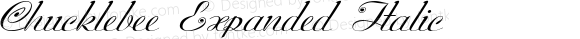 Chucklebee Expanded Italic