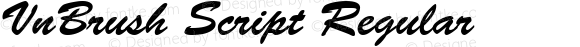 VnBrush Script Regular