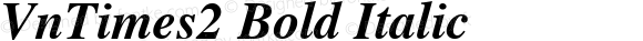 VnTimes2 Bold Italic
