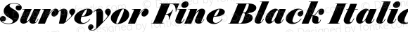 Surveyor Fine Black Italic