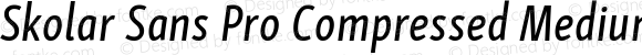 Skolar Sans Pro Compressed Medium Italic
