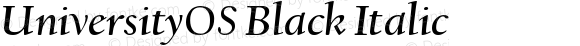 UniversityOS Black Italic