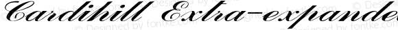 Cardihill Extra-expanded Italic