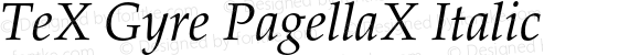 TeX Gyre PagellaX Italic