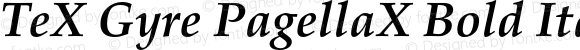 TeX Gyre PagellaX Bold Italic