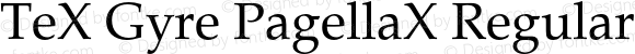 TeX Gyre PagellaX Regular