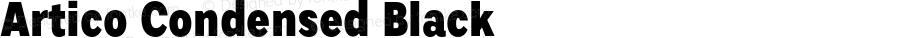 Artico Condensed Black