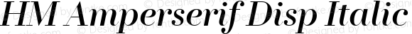 HM Amperserif Disp Italic