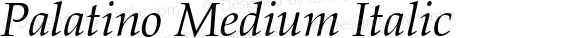 Palatino Medium Italic