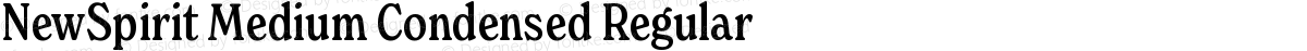 NewSpirit Medium Condensed Regular