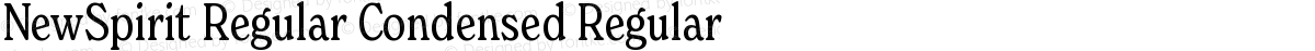 NewSpirit Regular Condensed Regular