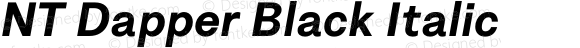 NT Dapper Black Italic