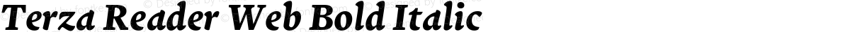 Terza Reader Web Bold Italic