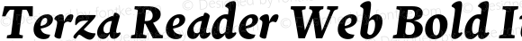 Terza Reader Web Bold Italic