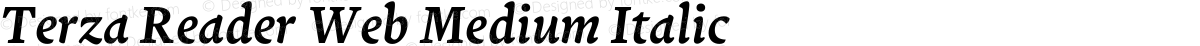 Terza Reader Web Medium Italic