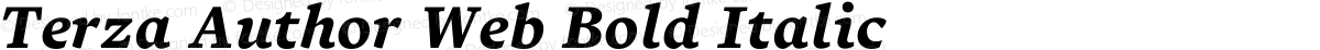 Terza Author Web Bold Italic