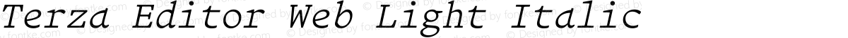 Terza Editor Web Light Italic