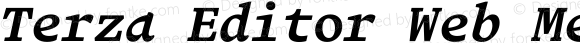 Terza Editor Web Medium Italic