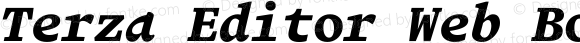 Terza Editor Web Bold Italic