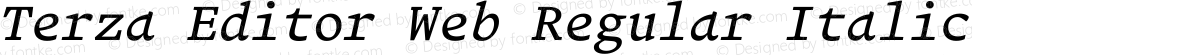 Terza Editor Web Regular Italic