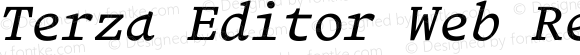 Terza Editor Web Regular Italic