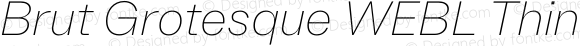 Brut Grotesque WEBL Thin Italic