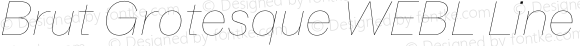 Brut Grotesque WEBL Line Italic