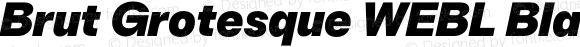 Brut Grotesque WEBL Black Italic